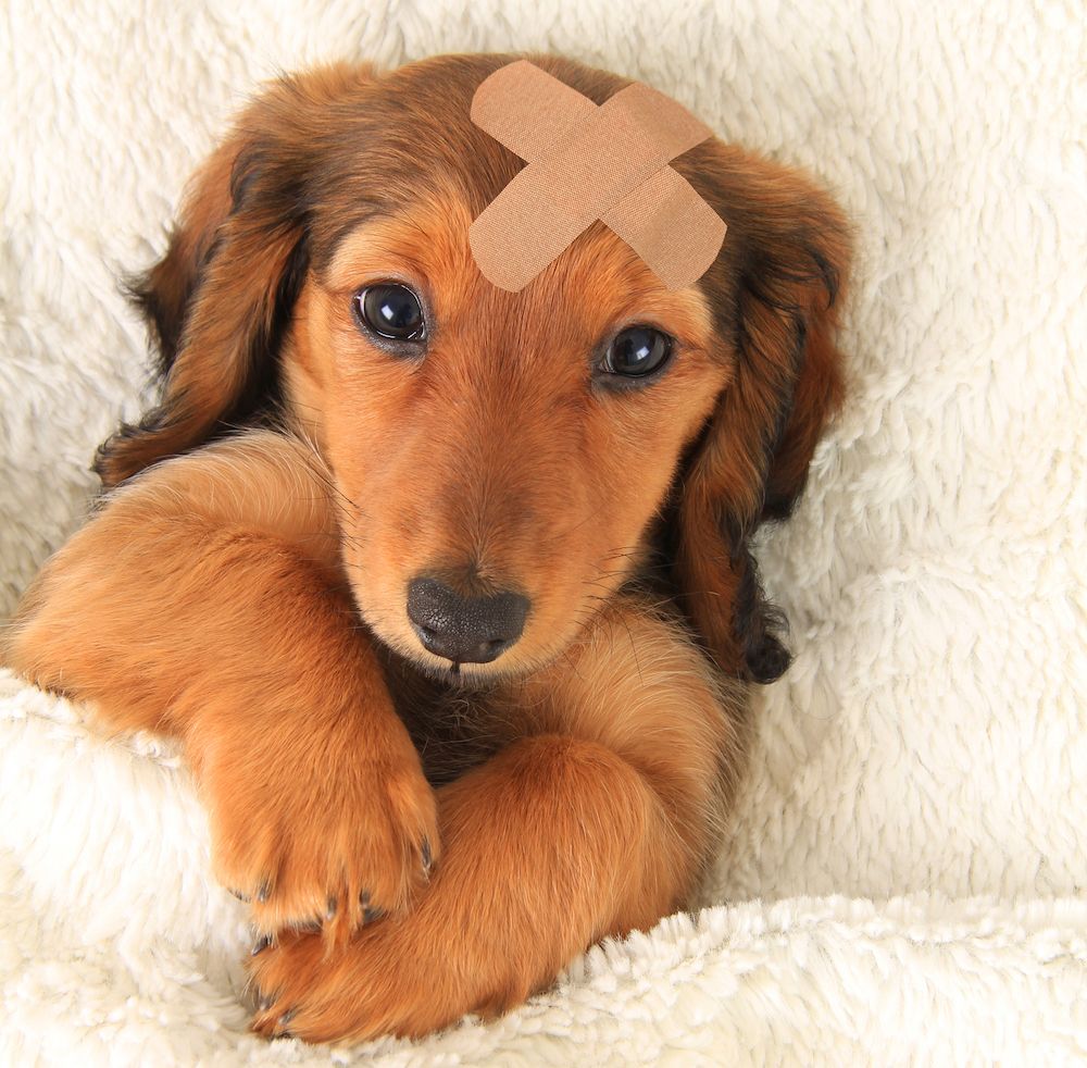 Editorial: November 4, 2022